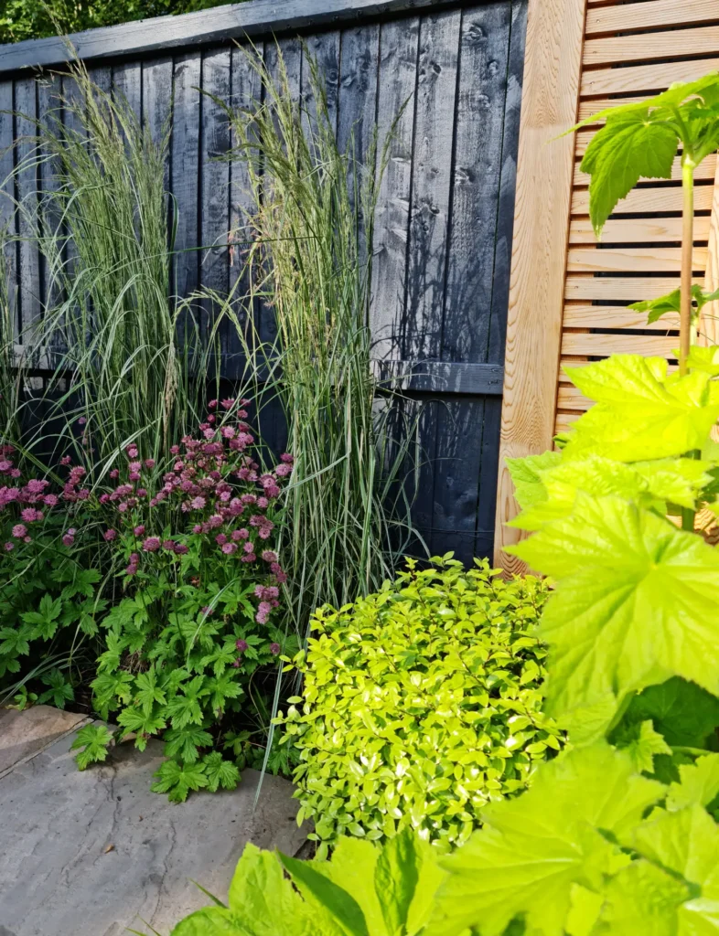Finished courtyard garden in Malpas with lawn, paving, planting and timber feature screens
