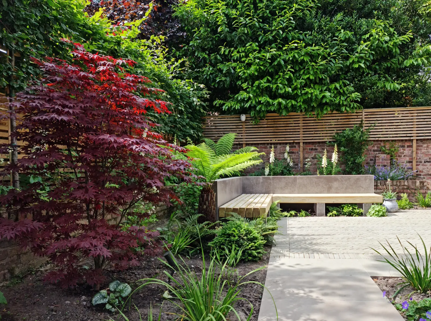 Soft natural garden planting with timber bench seating in Victorian Altrincham property