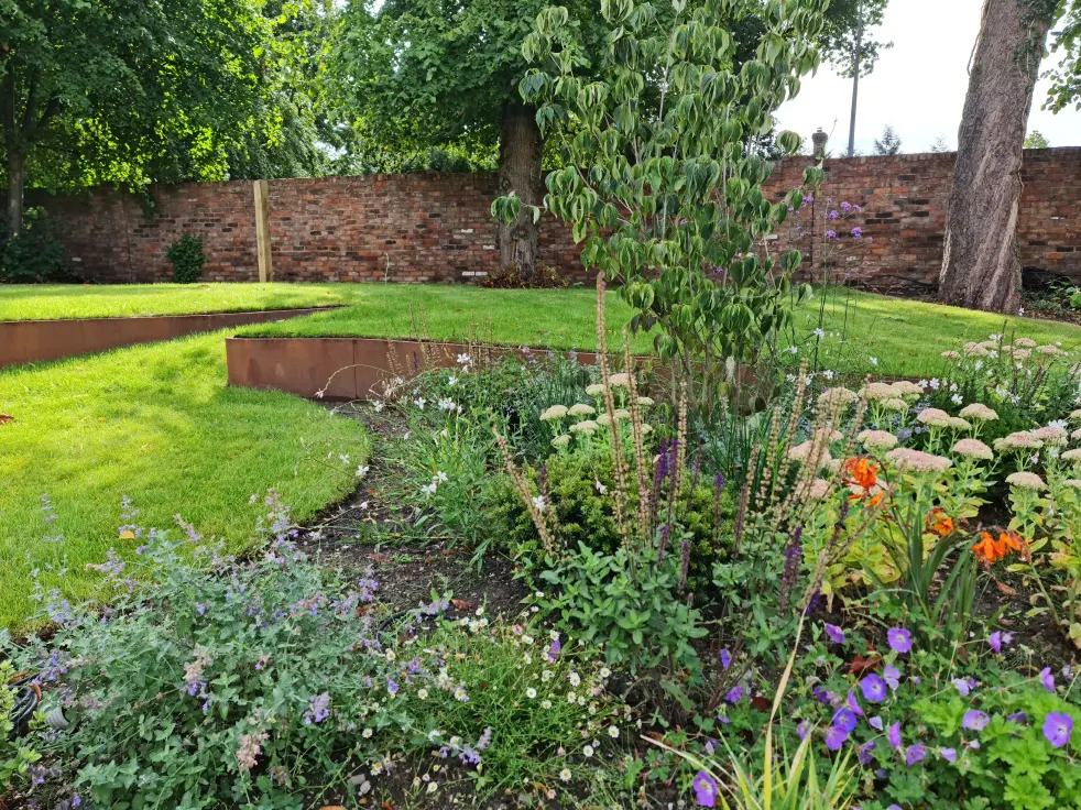 Curved lawn edging, mature trees and soft planting in a Wilmslow pool garden makeover