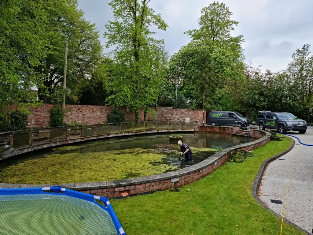 Landigo team cleaning existing pool and moving koi carp before Wilmslow pool renovation