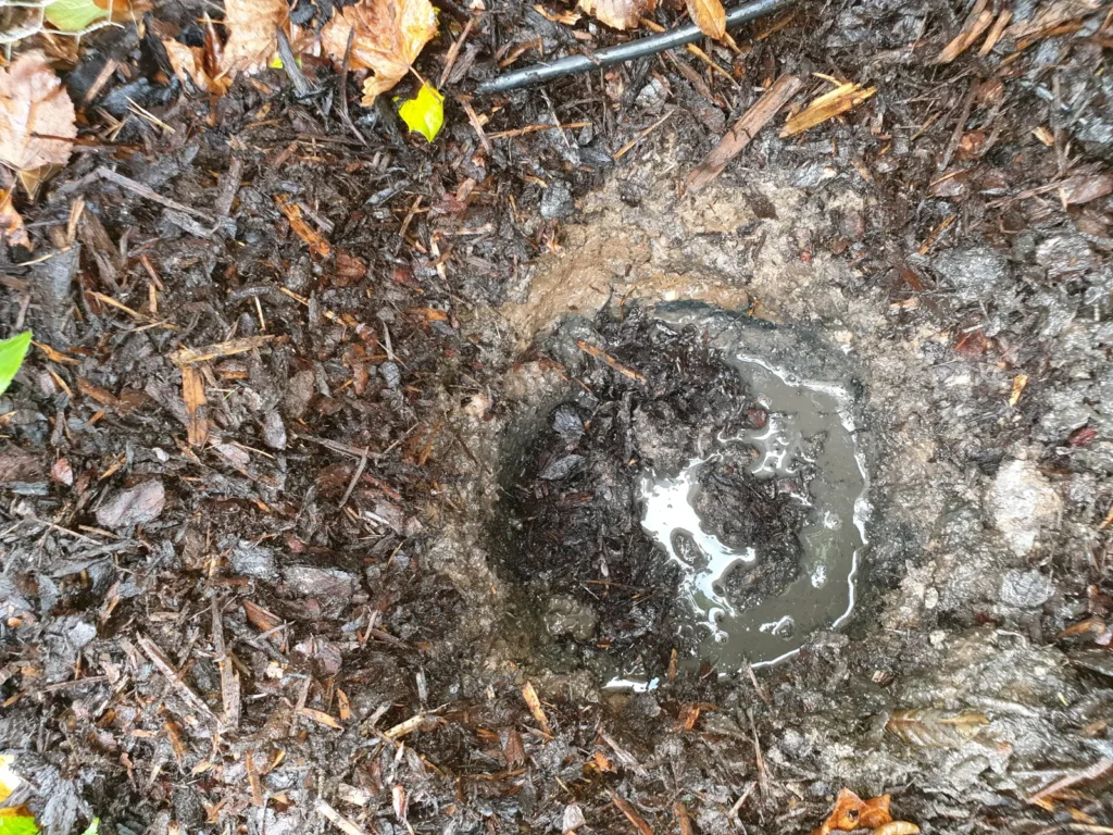 Test pits dug in compacted garden ground to assess drainage before landscaping